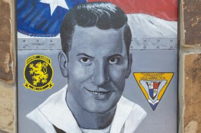 mural of US Navy AT2 E5 Mike Bokulich on display at Amherst Patriots Park